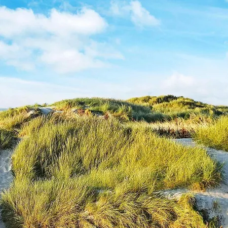 7 Person In Hvide Sande-by Traum