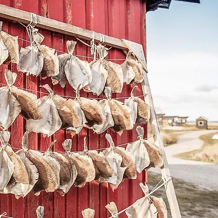 7 Person In Hvide Sande-by Traum Casa de Férias *