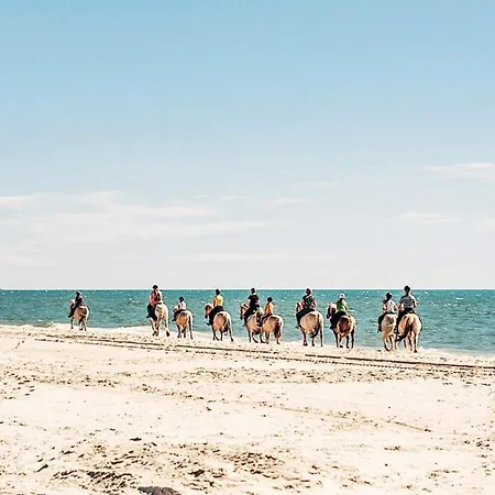Semesterbostad 7 Person In Hvide Sande-by Traum *
